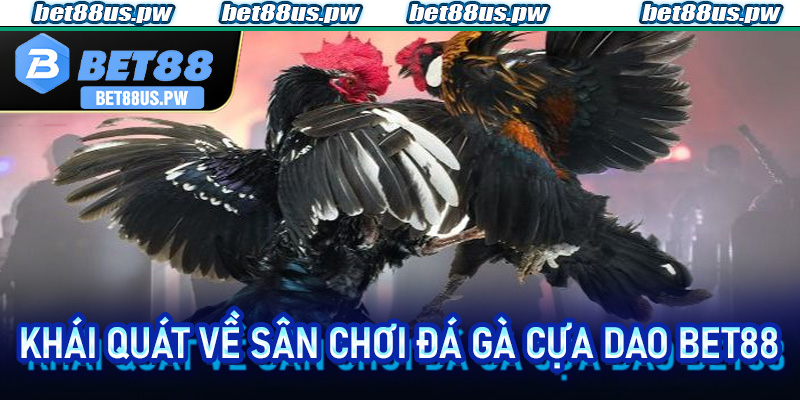 Khái quát về sân chơi Đá Gà Cựa Dao Bet88