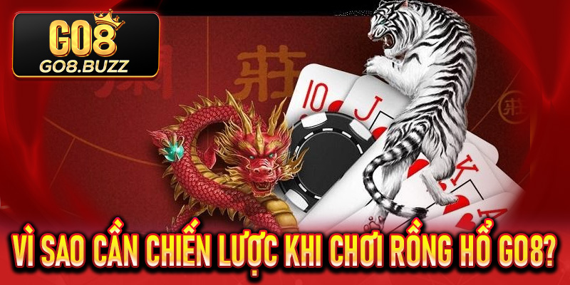 Vì sao cần chiến lược khi chơi Rồng Hổ Go8?