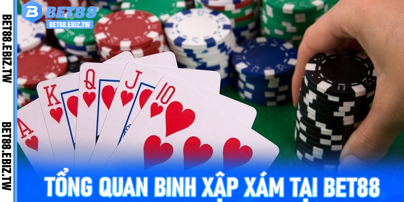 Tổng quan Binh Xập Xám tại Bet88
