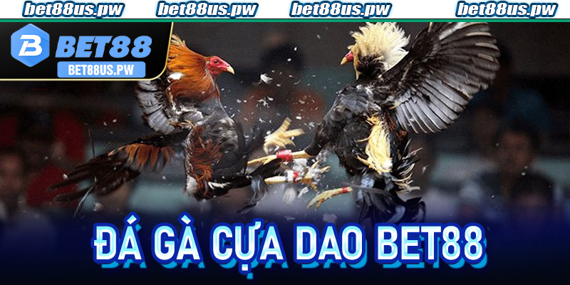 Đá Gà Cựa Dao Bet88